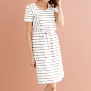 Mikarose Striped grey and white textured Knee Length Dress